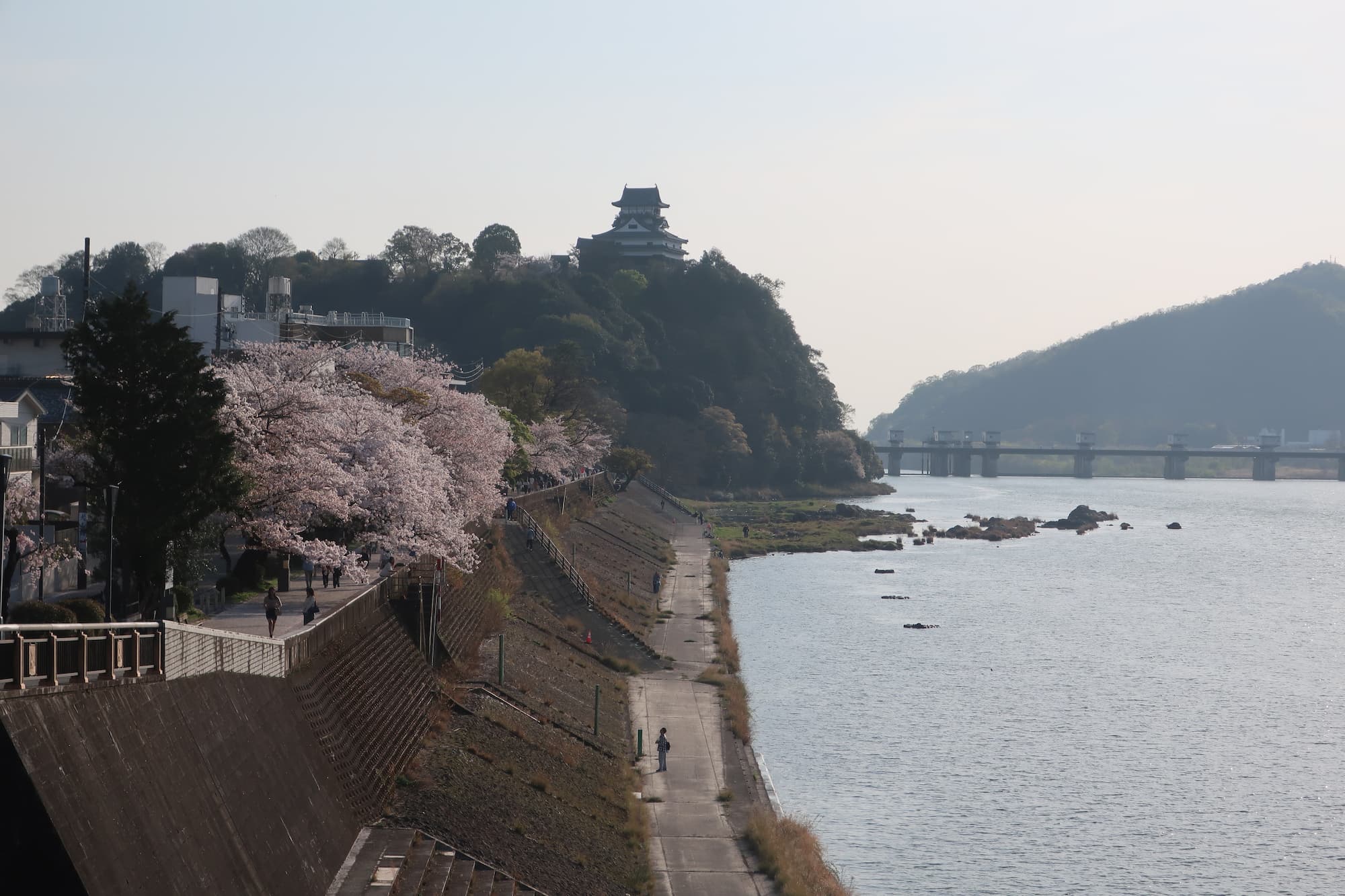 Does Japan Have Daylight Saving Time? Time Differences & Key Facts